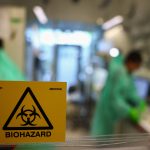 Early bird flu season brings sharp rise in cases in Europe and North America