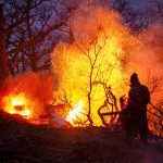 Iran seeks ‘urgent assistance’ to put out fire in UNESCO-listed Hyrcanian forests