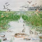 15,000 years ago, hunter-gatherers in Israel’s Carmel plain dined on duck all winter