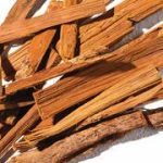 The plant secret that helps prevent winter illnesses