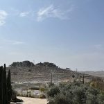 Sharona Margolin Halickman | Where is Migdal Eder?