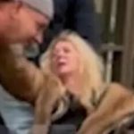 Actress Tara Reid collapses in Chicago hotel, says someone spiked her drink