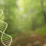 Ancient DNA reveals extreme family ties in Bronze Age southern Italy – study