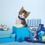 Your Investments: The learning power of Hanukkah, using gelt as educational tool for kids