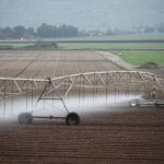Israeli scientists use AI to improve irrigation and spot plant stress early – study