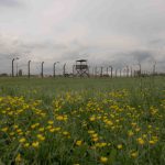 Voices of October 7: Yosef Weiner spoke to photojournalist Chen Schimmel