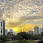 Jessica Feldan | 8 ways Bar-Ilan University is spreading light