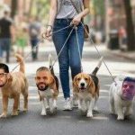 ‘We will not be silent’: Arab journalists reveal death threats from Hamas