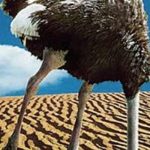 Nadav Tamir | A country that refuses to look in the mirror