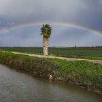 Thousands go hiking in Israel as fallout from severe weather raises flood risk