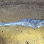 Negev police chase ends in death of suspected weapons smuggler, Israeli Police say