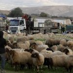 Two Italian policemen in West Bank held up by settler, forced to kneel at gunpoint
