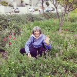 Jerusalem highlights: January 30-February 5