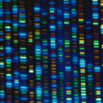 It’s gotta be the genes: Israeli study finds genetics play key role in human longevity