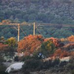 Toll in Spain train collision rises to at least 39 dead as rescue efforts continue