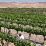 Your small $36 loan can make a big impact – Sponsored Content