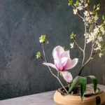 Less is more: the Japanese art of flower arranging finding new roots in Israel