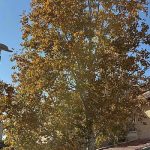 Barry Lynn | Another Severe Winter Storm