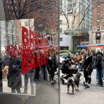 Jewish bakery owners flooded with support after pro-Palestine union demands they cut ties with Israel