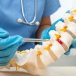 Lab-grown human spinal cord tissue shows signs of repair after injury, study finds