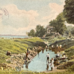 David Matlow | Treasure Trove: A Palestine Park in New York (and it is not Mamdani’s fault)