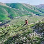 The Judean Desert in bloom: Following ancient paths of healing just beyond Jerusalem