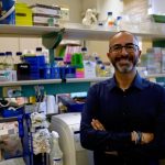 Israeli researchers find cannabis compounds could lead to 1st drug for fatty liver disease