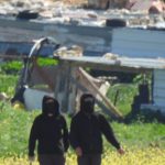 Wave of settler attacks against Palestinian herders reported in central West Bank