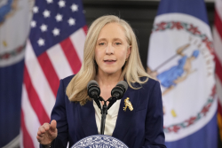 Virginia Democrats Reveal a Radical Design