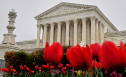 SCOTUS Just Ended 60 Years of Affirmative Action for House Democrats