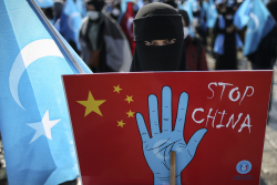 China&rsquo;s Solar Industry Redesigned Itself Around U.S. Forced Labor Law