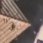 Lebanon: Hezbollah terrorists armed with RPG launchers eliminated