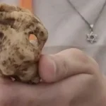Rare Second Temple finds unearthed at Shiloh