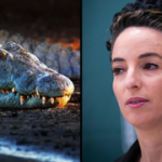 Minister clears path for Israeli ‘Alligator Alcatraz’ despite legal warnings
