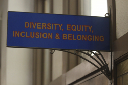 Diversity, Equity, and Confabulation
