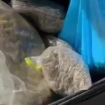 Israeli and Palestinian arrested for drug smuggling on yachts
