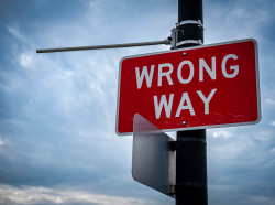 Correctly Understanding the &lsquo;Stupidity&rsquo; of the Left